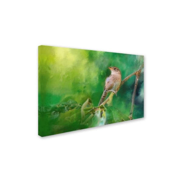 Jai Johnson 'Wren In The Garden' Canvas Art,12x19